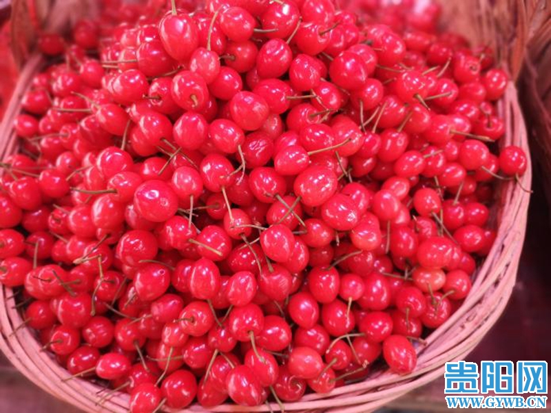 樱桃新鲜上市早期价格比往年略高,樱桃上市60一斤