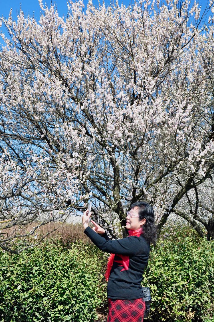 傅家边野营,走进金溪傅家村