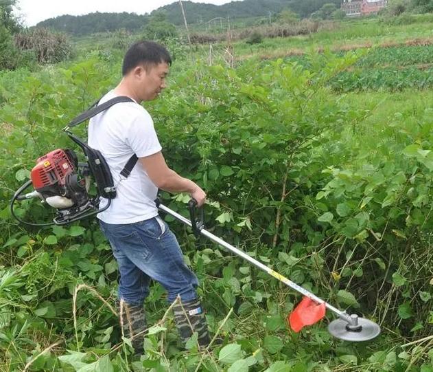 最好的割草神器电动工具,100种割草的神器