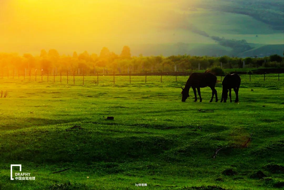 中国唯一俄罗斯族民族乡,东北的俄罗斯风情小镇