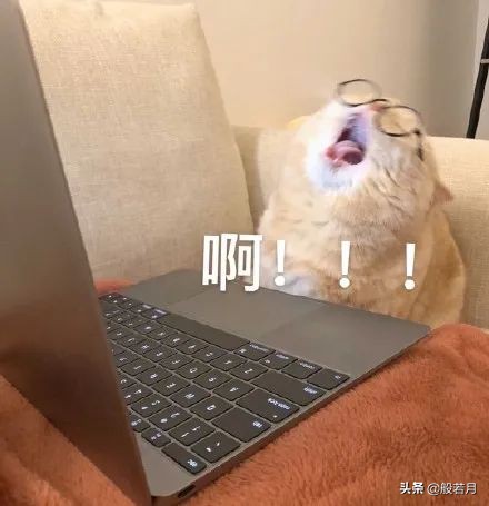 金手镯9000多买到假的完整版,18000黄金手镯