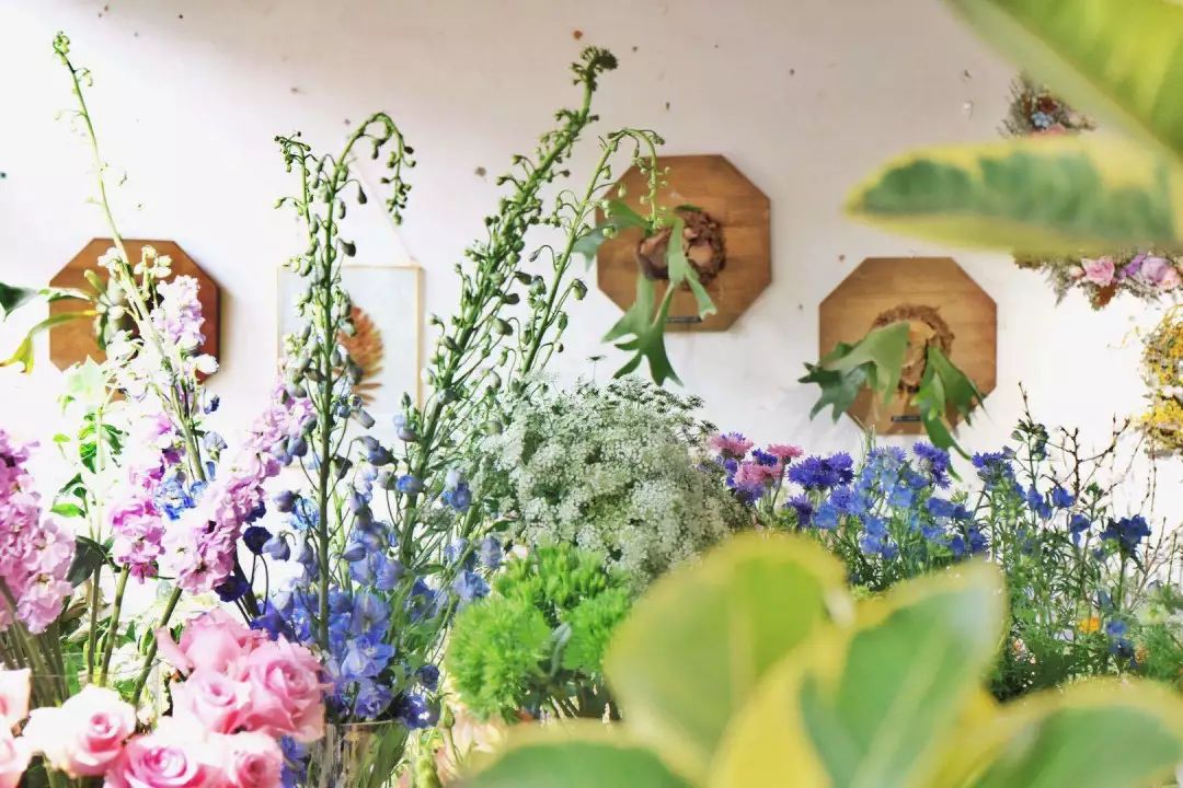 她辞去总监回家扶贫后续,她辞去总监回家扶贫结局