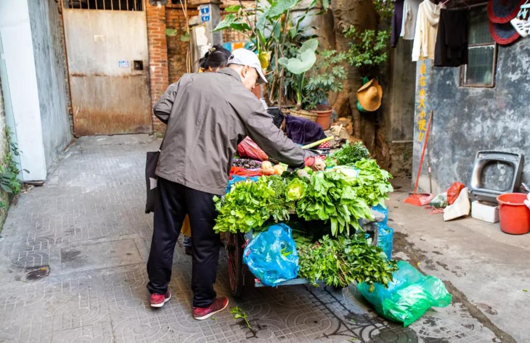 广州沙园菜市场价格,广州沙园菜市场水果