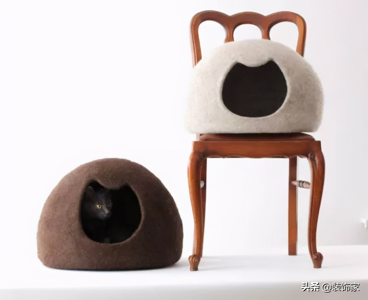 铲屎官最爱的客厅方案,铲屎官最满意的卧室装饰