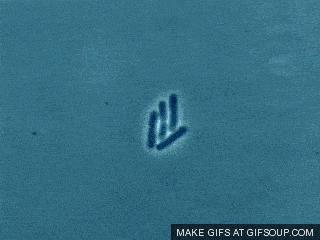 马桶顽固垢能用火烧吗,马桶陈年硬垢堵厕所