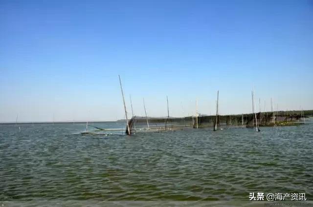 大闸蟹怎么吃才是最正确的,大闸蟹的正确吃法你知道吗