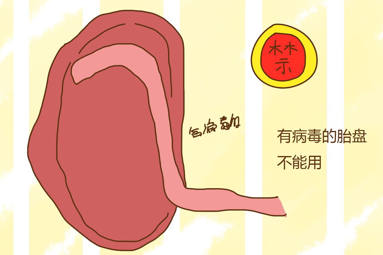 辟谣!胎盘到底是“十全大补”还是在吃蛋白质?看完你还要吃吗?