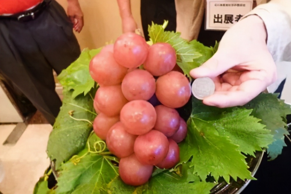 日本香蕉可以带皮吃吗,日本香蕉50元