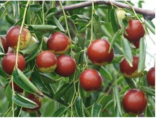 从农民到富豪小说,从农民一步步升官