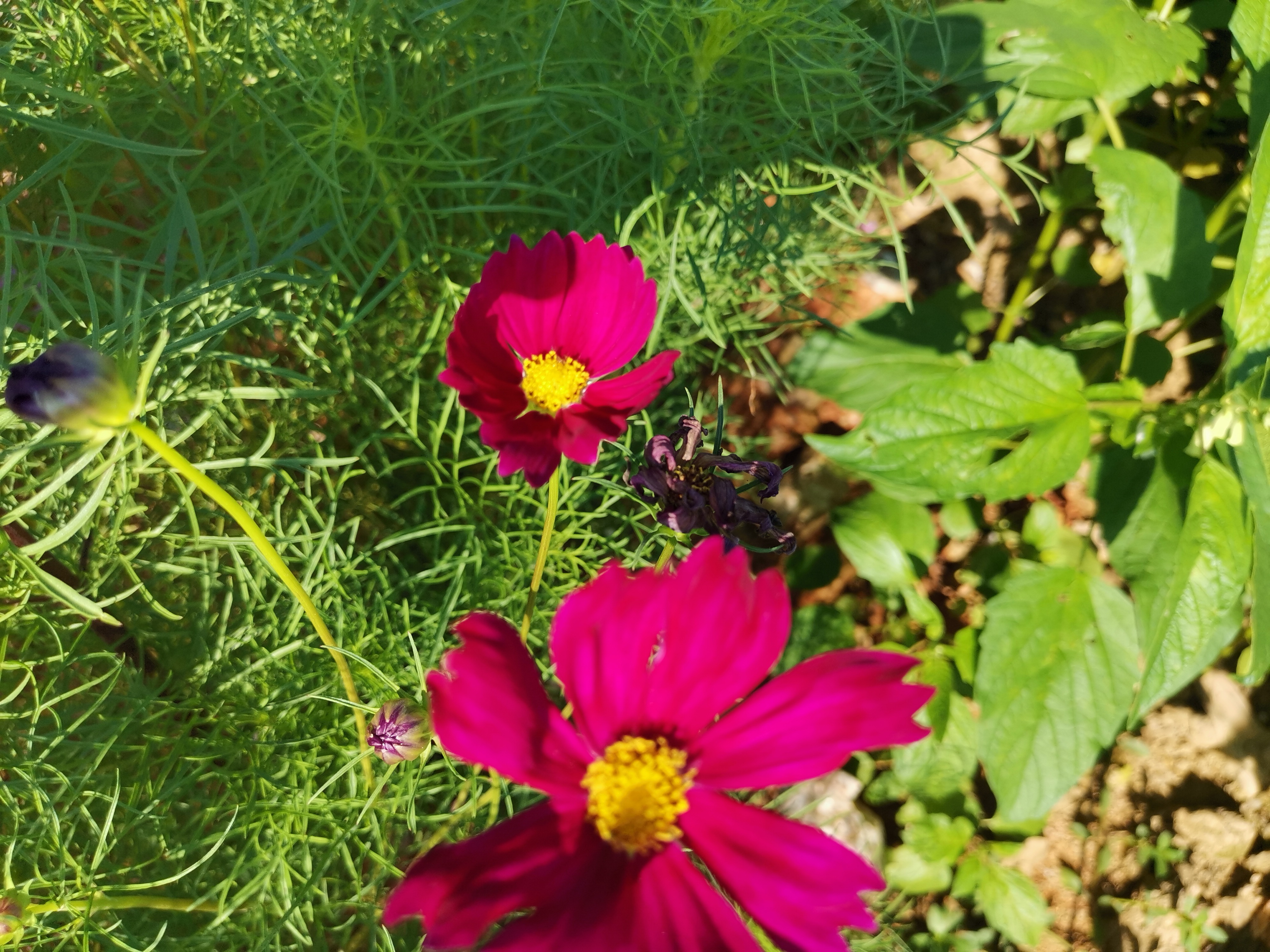 宸︽墜闈掓槬鍙虫墜鐖辨儏,宸︽墜瀛︿笟鍙虫墜鐢熸椿