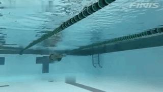 休闲蛙泳怎么游最快最轻松,蛙泳怎么游最快最轻松正确