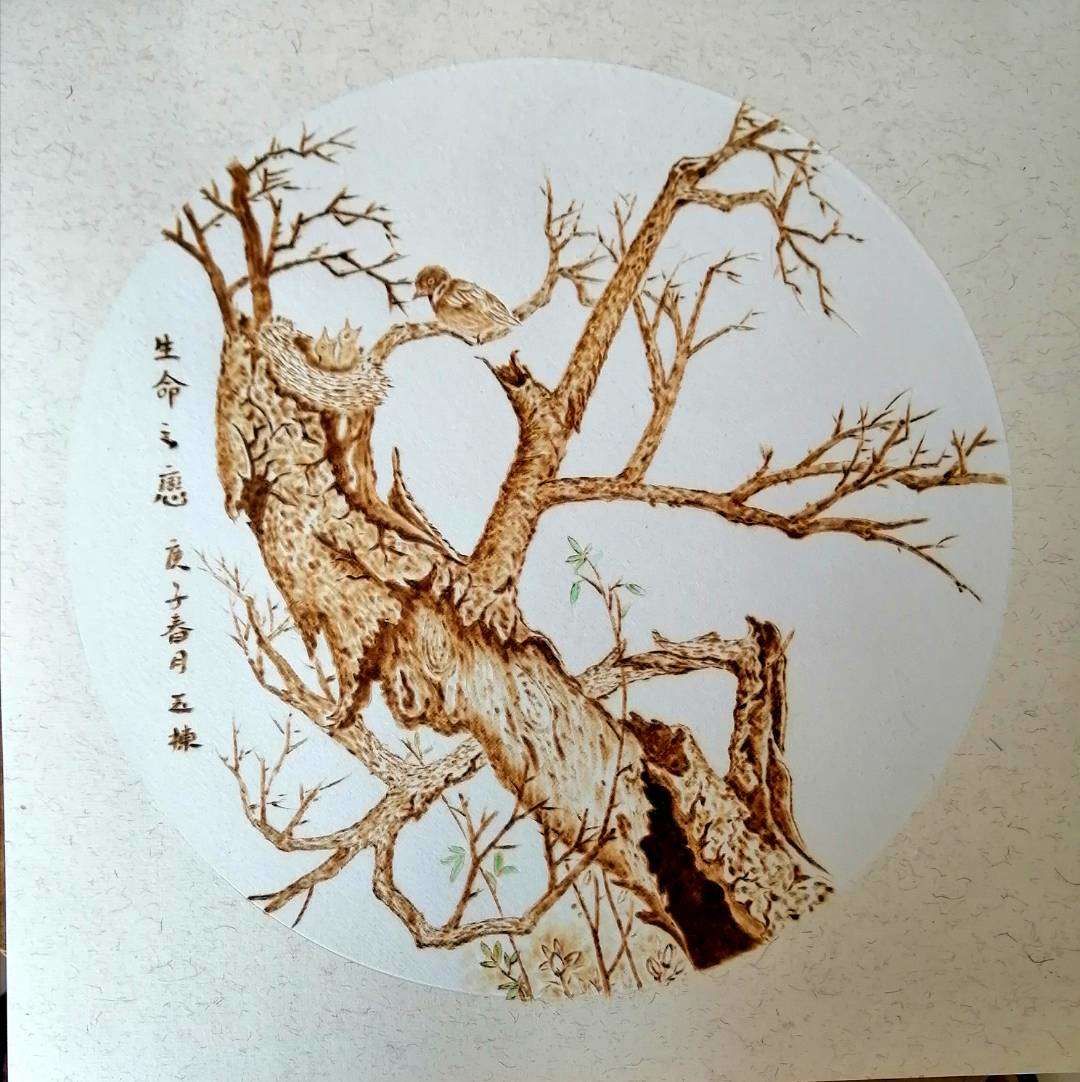 野草诗社全集视频,野草诗社简介