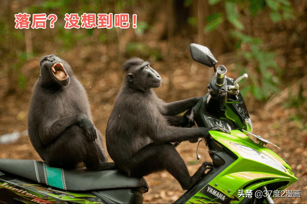 三国没你想象的落后！解方程、球体公式、飞行器了解下吧