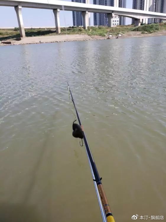 本汀金迦潘求败夜战罗非,本汀金迦潘求败评测