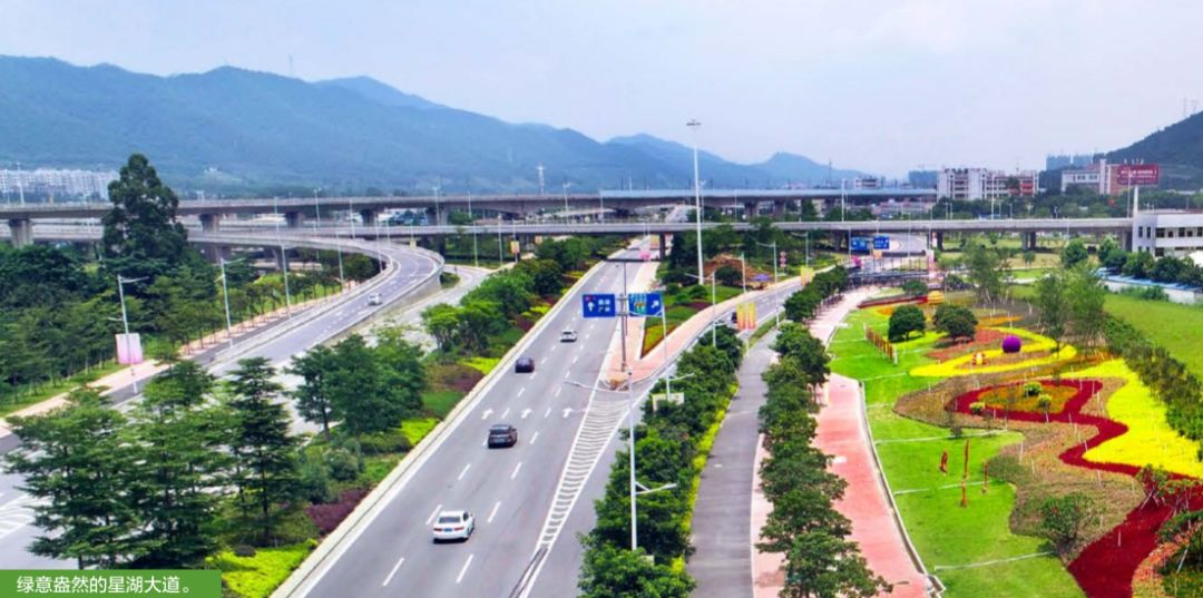 肇庆2023创文最新公布,肇庆今年创文