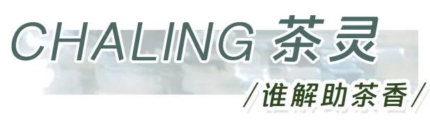 展开说说19瓶自用香水，拔草还是种草你说了算