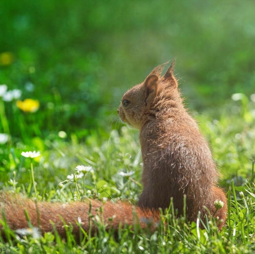 他花了29年拍摄到了美丽瞬间,他花8年拍下深海珍稀生物