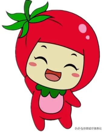 农家蔬菜即将上新欢迎前来品尝,高山农家果蔬