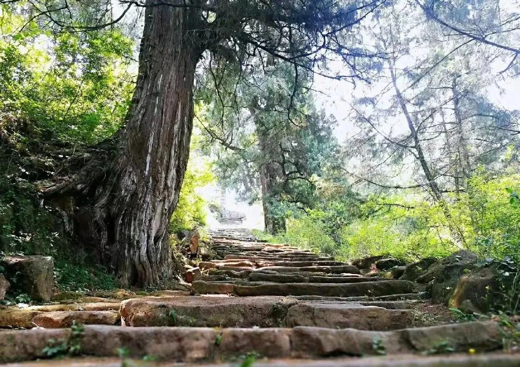 秦始皇张飞,秦始皇冬游