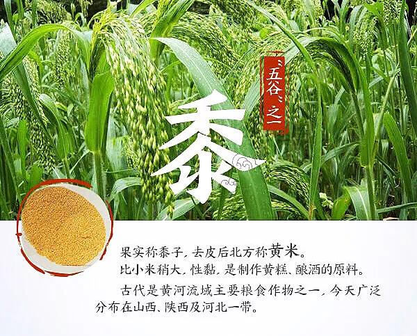 涨知识涨见识诗词,涨知识古代文明