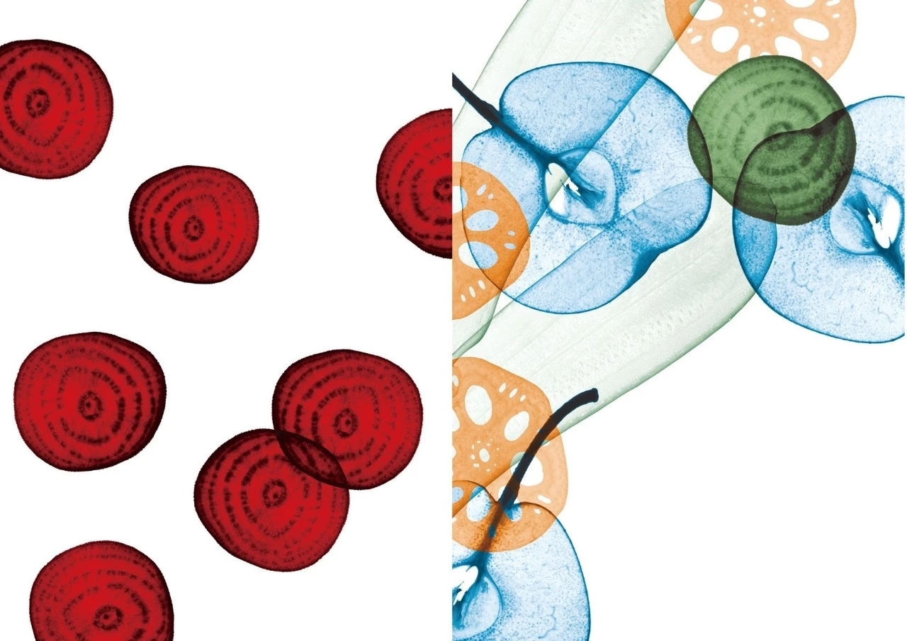 如何鉴定餐饮骗局真假,网红餐厅真实案例