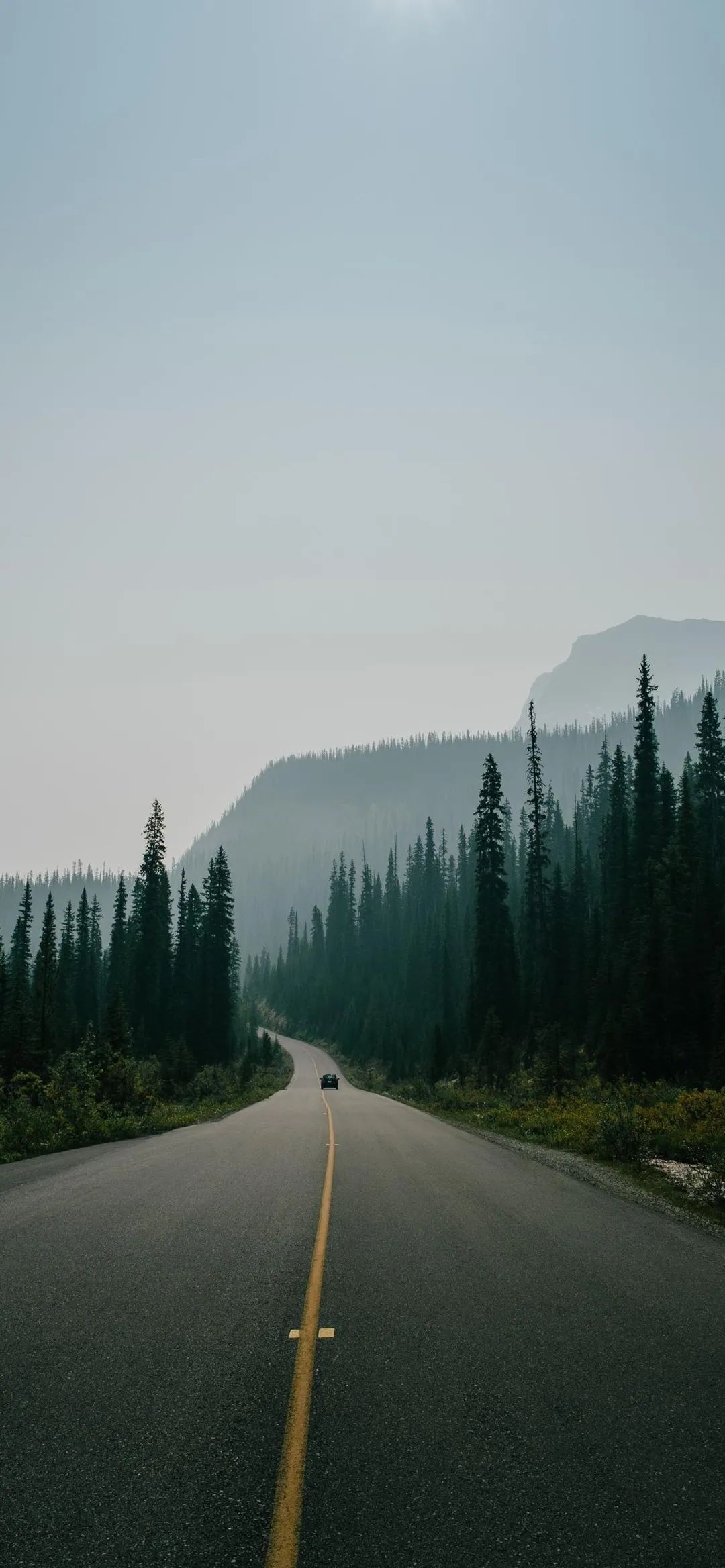 55张高清超好看iphone壁纸,2023壁纸iphone专用4k