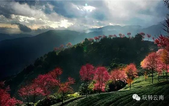 云南丽江旅游全国排名多少,云南丽江旅游景点排名前十有哪些