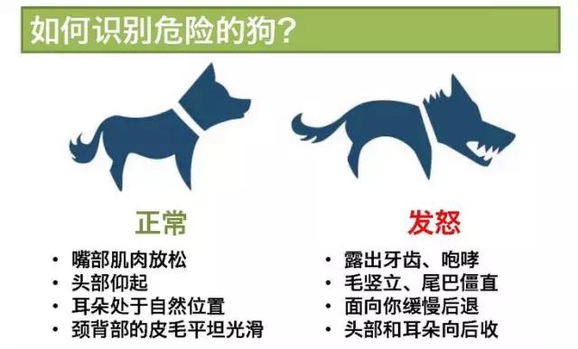 赤峰人请注意10人死亡!发病9020例!内蒙古发布最新传染病疫情报告...