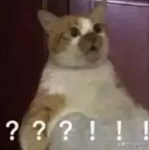 锤锤体重多少斤,小苍直播的真实身材