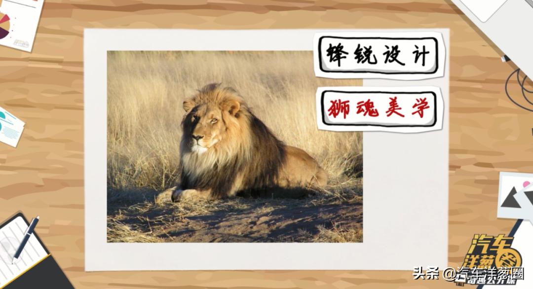 把狮子放在森林上会怎么样,把狮子放在笼子里会怎么样