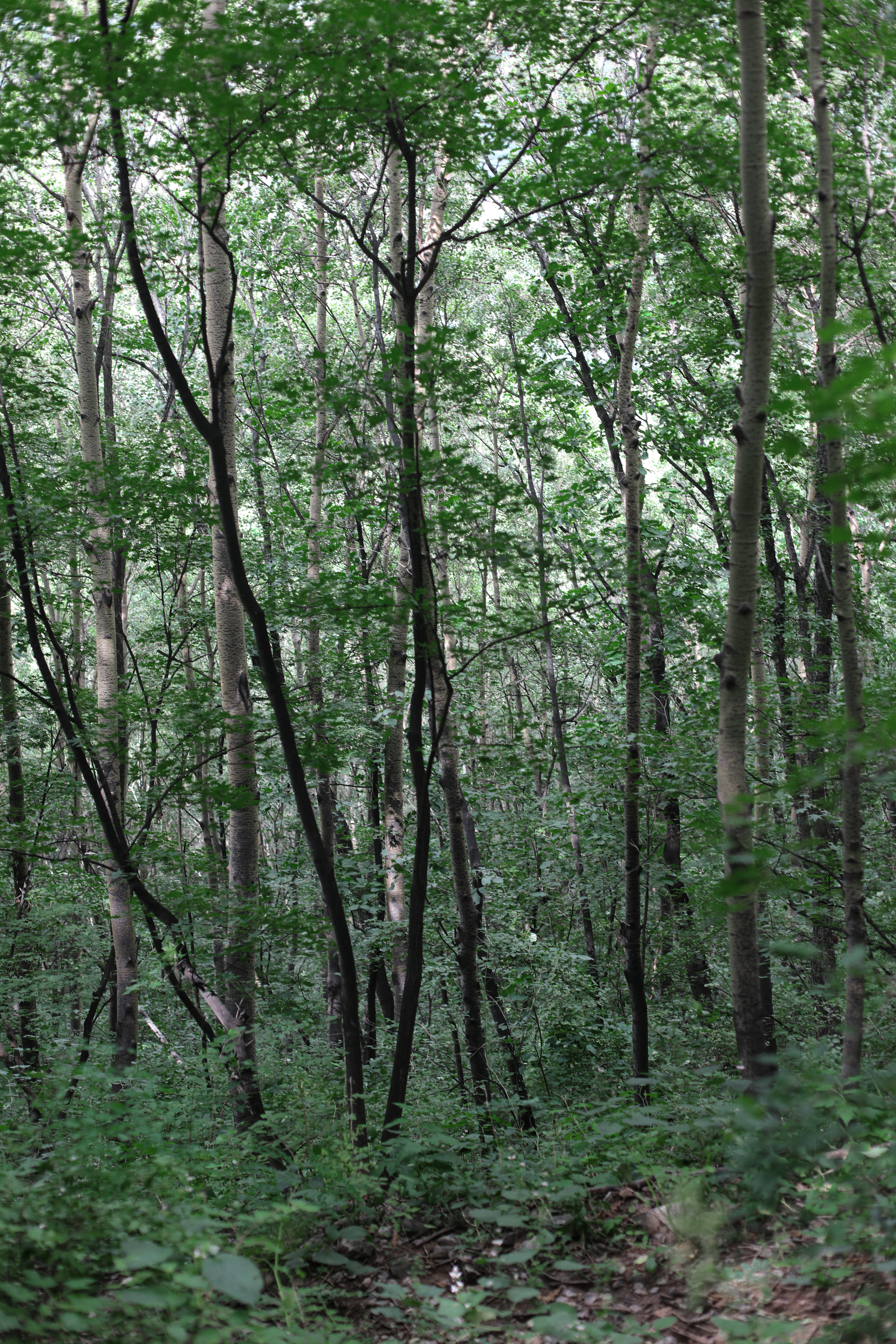 京郊十条登山步道推荐,房山蝴蝶谷登山步道
