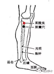 恶心干呕穴位按压法,常见疾病穴位搭配一览表
