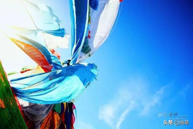 24—70镜头拍摄什么好,24-70镜头什么光圈最清晰