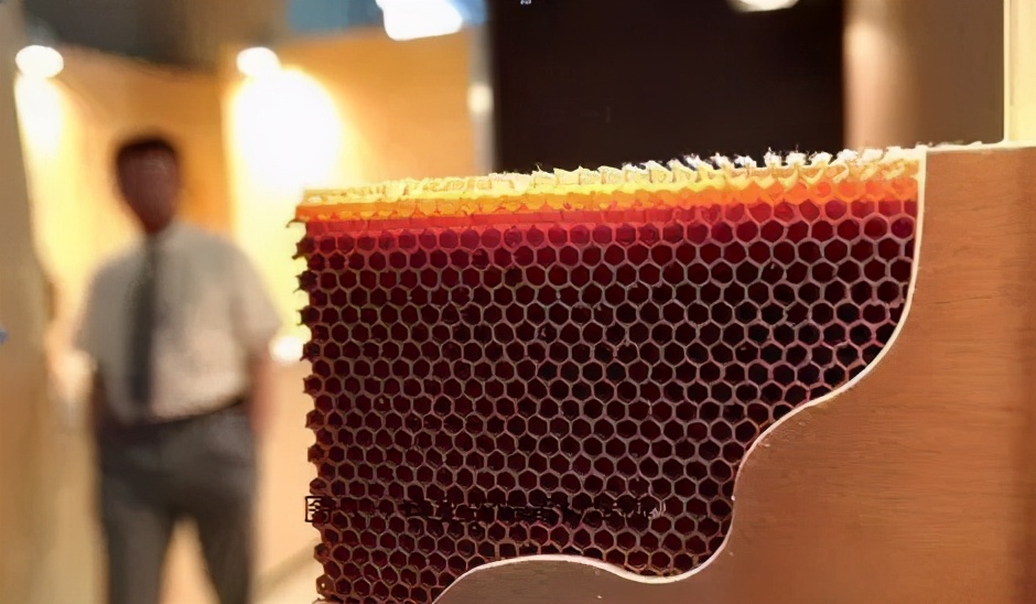 当别人说你选的门不好看,室内门真难选