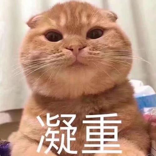 十字军之王3是什么样的游戏,十字军之王3东方王朝游戏体验