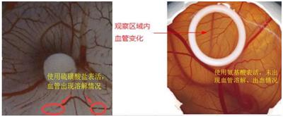 危“肌”四伏，洗头，是把双刃剑！