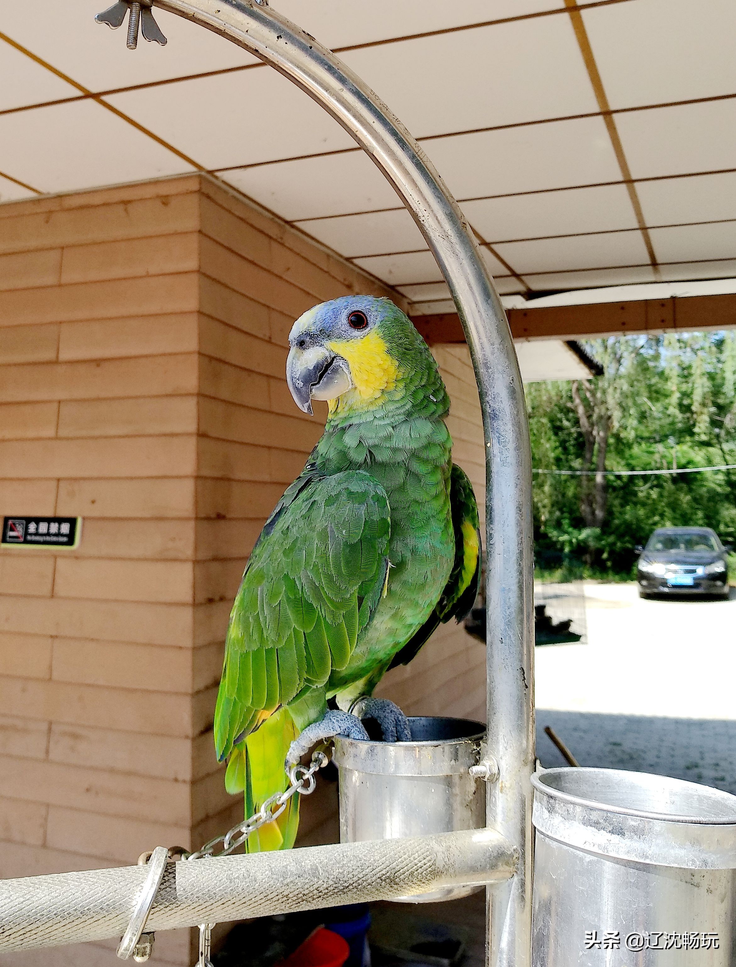 沈阳旅行推荐夏季景点攻略,沈阳冬日周边一日游旅游景点推荐