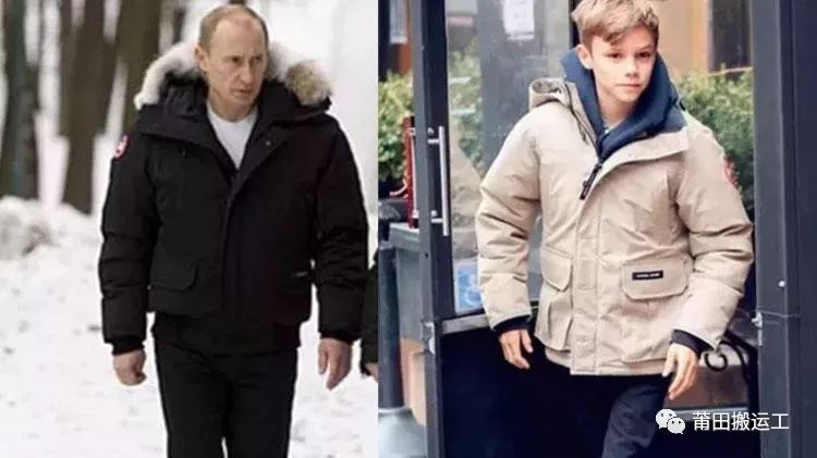 迷彩加拿大鹅多少钱一件,真正的加拿大鹅怎么样