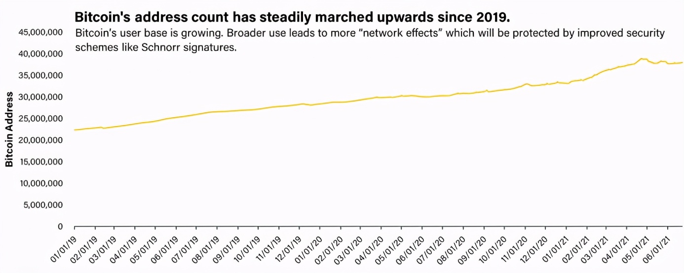 从投资者视角全面洞察*币特比**Taproot升级