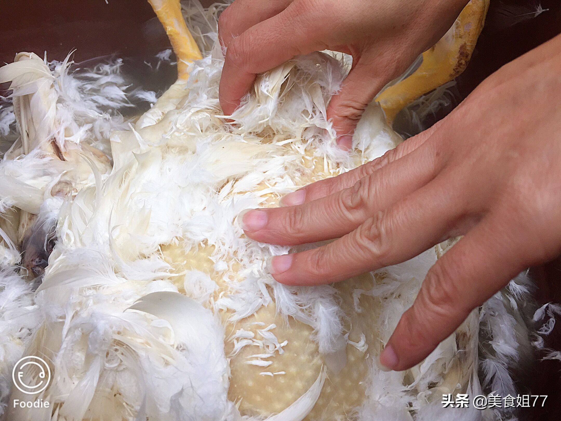 什么炖老鸭汤好喝,冬日滋补老鸭汤