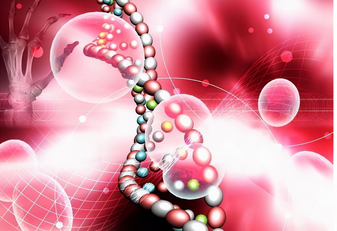 贫血吃什么补血最快,贫血吃什么补血最快女性老年人