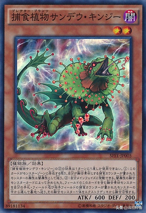 游戏王堕天使卡组历史,游戏王堕天使卡组小说