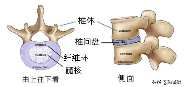 怎么练瑜伽才能缓解腰椎间盘突出,腰椎间盘突出怎么练瑜伽恢复