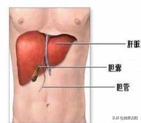 丙肝为什么是沉默杀手,医学知识科普丙肝怎么回事
