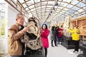 亿元村河南,亿元村信息