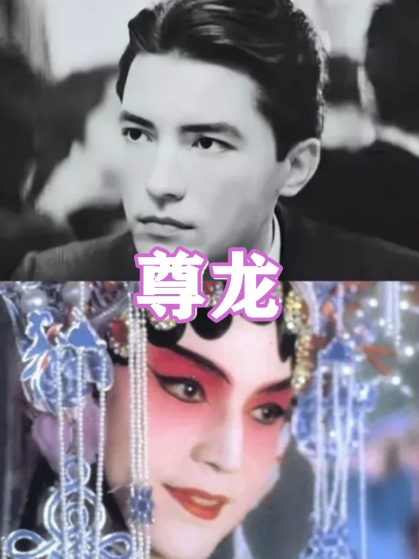 小李子道枝骏佑盛世美颜,小李子和道枝