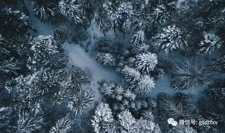 游戏版号的放开是否意味着游戏行业再次迎来爆发？