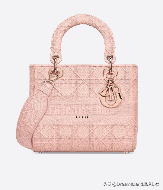 dior新款刺绣帆布托特包,刺绣马鞍包dior2019