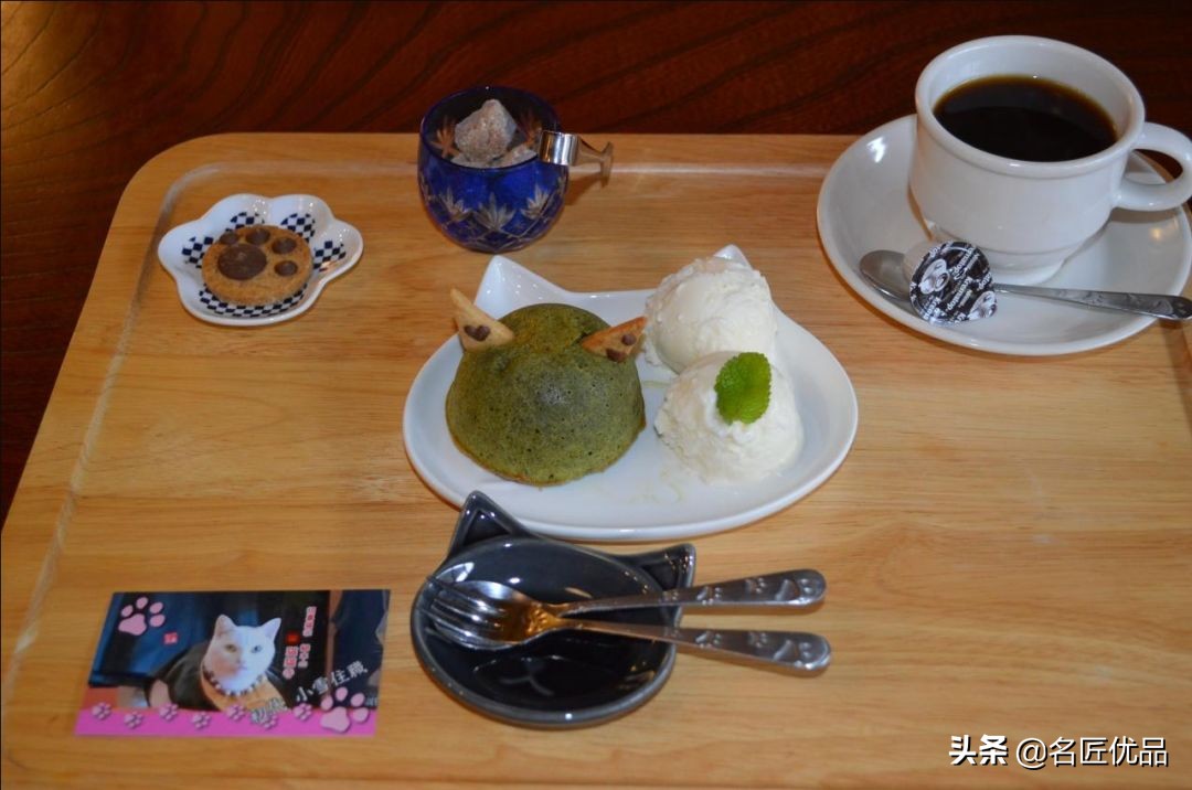 20岁少年建“猫猫寺”,和尚住持全是猫咪,网友:不敢撸不敢吸