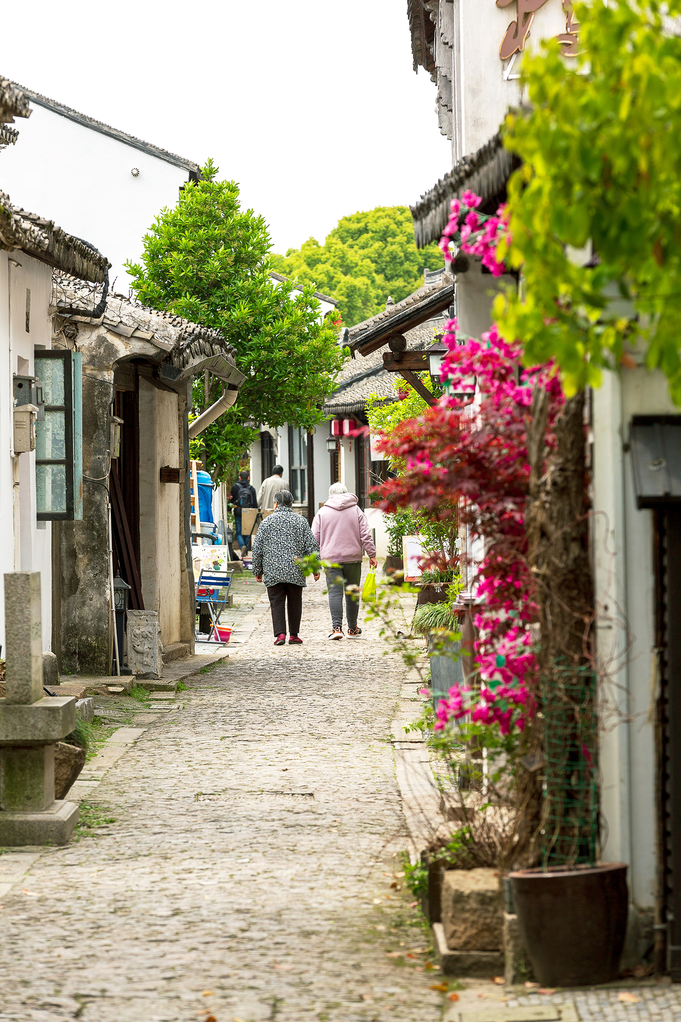 甪直古镇最值得去的景点,甪直古镇哪些景点值得看